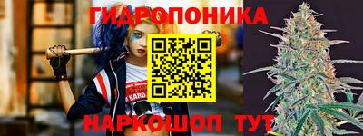 PSILOCYBIN Аргун