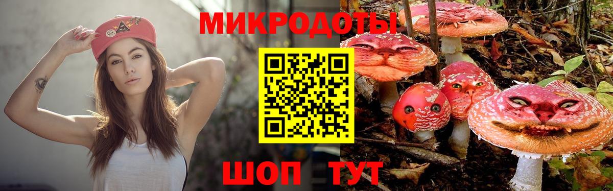 Галлюциногенные грибы прущие грибы Боровичи