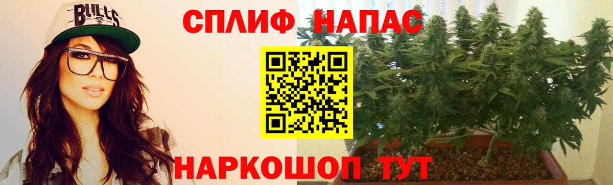 Боровичи  Бошки Шишки индика  Марихуана THC 21%  Шишки марихуана планчик  Вход с VPN 
